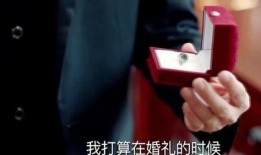 娱乐大家爆料视频,最新爆料视频大揭秘，明星幕后故事大公开！